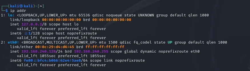 IP Address Output